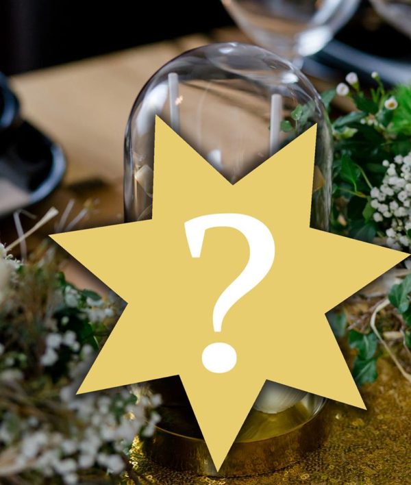 23621356_1004641539673983_7824090758751840026_n