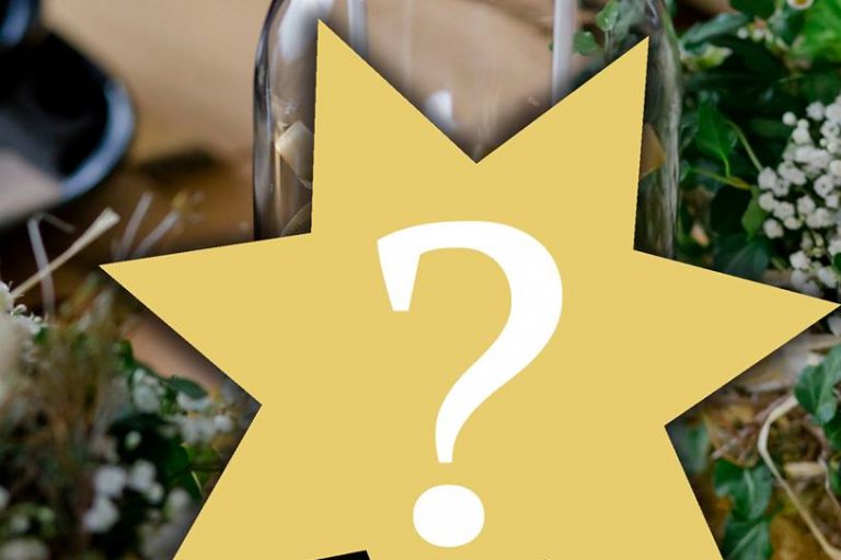 23621356_1004641539673983_7824090758751840026_n