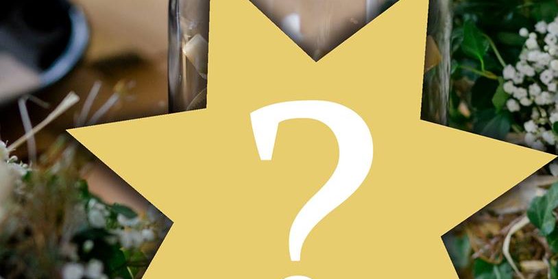 23621356_1004641539673983_7824090758751840026_n